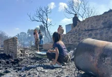 Kebakaran Hebat Sade, 320 Pelaku Wisata Terancam Kehilangan Penghasilan