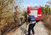 Karhutla di Gunungsari, Petugas Sigap Padamkan Api
