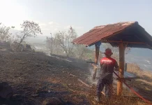 Kebakaran Lahan di Bukit Kayangan Berhasil Dikendalikan