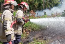 Lahan Terbakar di Seruni Mumbul, Damkarmat Bergerak Cepat Padamkan Api