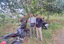 Tanaman Serbaguna Perbaiki Ekologi Hutan Desa Sapit