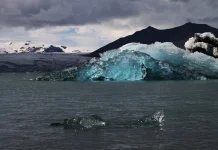 Suhu Laut Dunia Tembus Rekor Tertinggi, Dipicu El Nino dan Perubahan Iklim