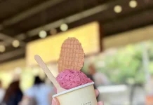 Semangkuk Gelato dan Cerita Panjang di Balik Es Krim