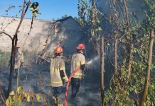 Kebakaran Lahan di Lendang Bedurik, Dua Armada Damkarmat Dikerahkan