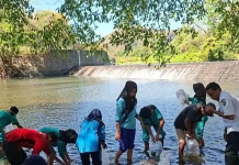 DKP Sumbawa Tuntaskan Restocking Benih Ikan