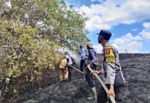 Diduga karena Puntung Rokok, Lahan Warga Lunyuk Terbakar