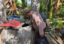 Setengah Wilayah Sumbawa Dilanda Kekeringan