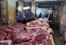 Maulid Dorong Kebutuhan Sapi, Distan Perkuat Pengawasan
