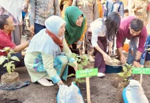 Gerakan Tanam Cabai Sekolah, Wabup UNA Perkuat Ketahanan Pangan Lobar Bersama