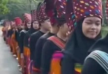 Parade Jong Warnai Rangkaian Maulid Adat Bayan