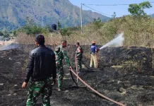 Kebakaran Lahan di Sembalun Berhasil Dipadamkan Damkarmat