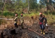 Kebakaran Lahan di Aikmel Berhasil Dipadamkan Damkarmat