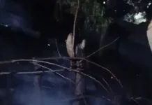 Kebakaran Bukit Loco Senggigi Akhirnya Berhasil Dipadamkan Damkarmat