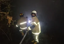 Kebakaran Bukit Loco Senggigi Padam, Damkar Ungkap Kondisi Terkini Kini