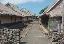 Pemkab Lombok Timur Perkuat Perlindungan Rumah Adat Limbungan