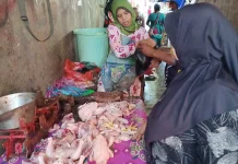 Omzet Pedagang Ayam Pedaging Dompu Terus Mengalami Penurunan