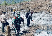 Cegah Api sebelum Berkobar, Polisi-TNI Sisir Hutan Woro