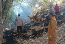 Waspada Kebakaran Lahan Meluas ke Pemukiman Warga