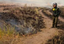 Kebakaran Savana Tambora Dinilai Proses Alami Peremajaan Vegetasi