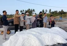BRIN Kaji Kelayakan PSN Tambak Garam Sumbawa