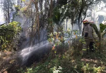 Kebakaran Lahan Kebun di Rempung Berhasil Dipadamkan