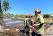 Pembakaran Lahan Picu Kebakaran di Ketapang Raya