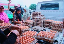 Harga Telur Turun, Daya Beli Masyarakat Melemah