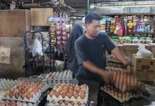 Harga Telur Naik Setelah Maulid, Pedagang Sebut Kondisi Mulai Stabil