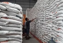 Kemarau Ekstrem Tidak Berdampak Stok Pangan