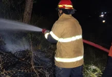 Kebakaran Lahan Sembalun Berhasil Dipadamkan Damkarmat Lombok Timur