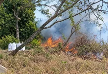 Damkarmat Lombok Timur Padamkan Kebakaran di Pekuburan Peneda Gandor