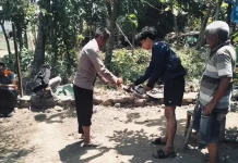 Polsek Sape Perketat Pengawasan Perjudian Sabung Ayam