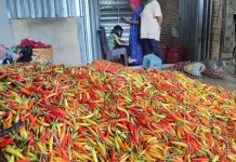 Harga Komoditas Mataram Tetap Stabil di Musim Kemarau