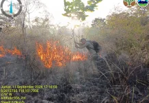 Petugas Tembus Medan Sulit Tangani Karhutla Tambora