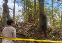 Dipicu Persoalan Asmara, Warga Semamung Gantung Diri