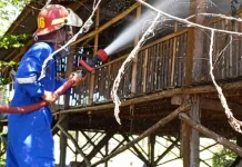 Kebakaran Kandang Ayam di Paremas diduga akibat Korsleting