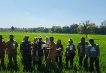 Babinsa dan Dinas Pertanian Dorong Petani Lebih Produktif