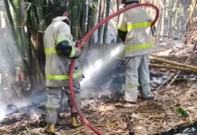 Kebakaran Lahan di Batuyang Diduga akibat Puntung Rokok