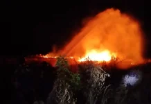 Kebakaran Lahan di Padak Guar Sambelia Berhasil Dikendalikan
