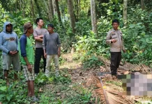 Diduga Jatuh dari Pohon Kelapa, Pria di Bima Meninggal Dunia