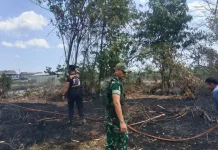 Kebakaran Lahan di Meninting Berhasil Dipadamkan TNI Bersama Damkar dan Warga
