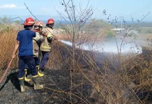 Dikhawatirkan Meluas, Damkarmat Lotim Sigap Tangani Kebakaran Lahan di Jeringo