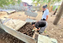 Polisi Bongkar Pemasok Narkoba Jenis Mushroom di Lombok Utara