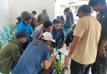 Dosen Ilmu Lingkungan Kembangkan Konservasi Tumbuhan Obat Berbasis Pekarangan