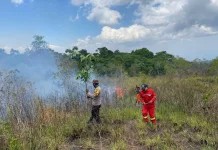 Sisir Kawasan Tambora, Petugas Gabungan Padamkan Titik Api