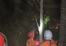 Damkarmat Lombok Timur Berhasil Padamkan Kebakaran Lahan di Sembalun