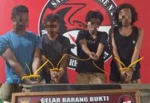 Berawal dari Kasus Narkoba, Polisi Tangkap DPO Pembunuhan di Bima