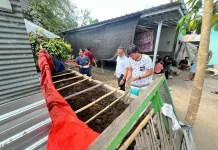 Dari Informasi Transaksi di Gili Trawangan, Polisi Temukan 16 Petak Budidaya Jamur