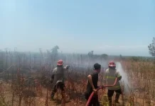 Damkarmat Lombok Timur Padamkan Kebakaran Lahan Dekat Pemukiman di Desa Perigi
