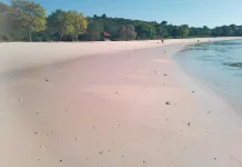 Mengapa Pasir Pantai Pink Berwarna Merah Muda?